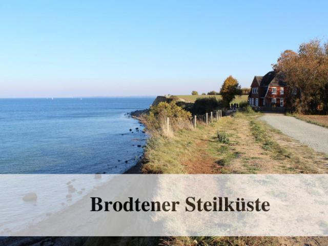 Waldstrandnest Mit Weitblick 蒂门多弗施特兰德 外观 照片